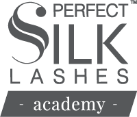 perfect silk lashes academy